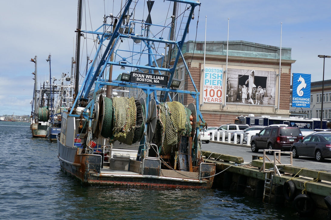 Fishing boat docked at boston fish pier