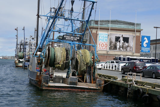 Fishing boat docked at boston fish pier