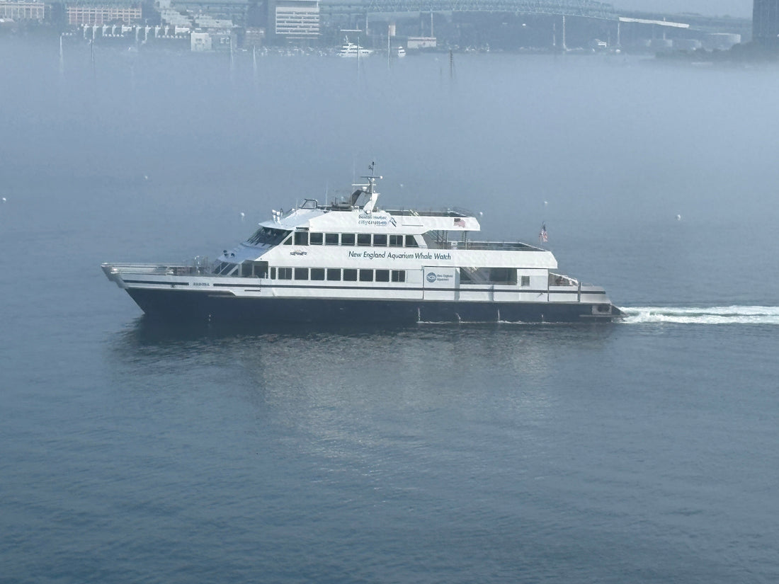 Pilot ferry