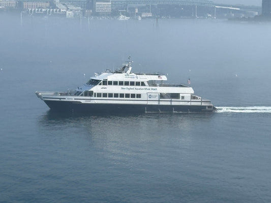 Pilot ferry