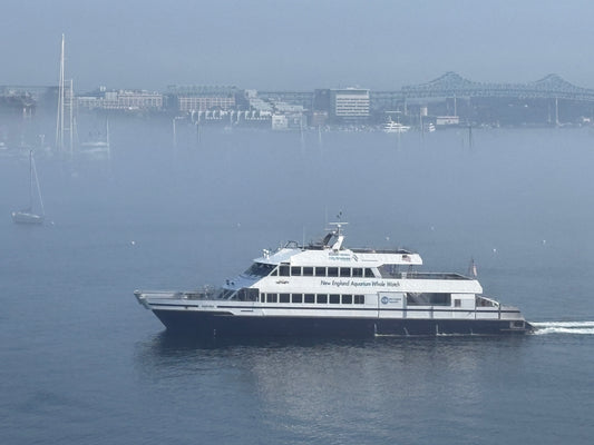Boston Harbor ferry cruise